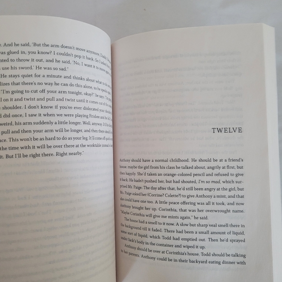 Hawk Mountain: A Novel - Picture 4 of 6